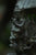 Bronze Vishnu on Top of Garuda