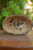 Copper Shiva and Parvathi