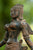 Bronze Tara Devi