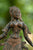 Bronze Tara Devi