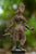 Bronze Tara Devi