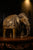 Brass Elephant