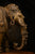 Brass Elephant