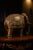 Brass Elephant