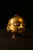 Brass Gouri Head