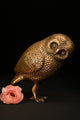 Brass Owl