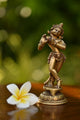 Brass Krishna Idol